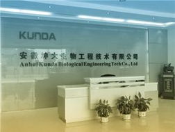 一呼百應(yīng) 技術(shù)賦能，智聯(lián)未來——上海技術(shù)咨詢頻道解析